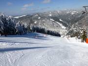 Descente de la Coupe du monde FIS