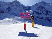 Signalisation des pistes dans le domaine skiable