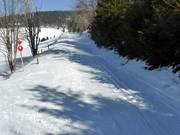 Au téléski Kapellenlift, la piste de ski de fond longe la voie de ski.