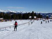 Baby - Télécorde/remonte-pente à câbles bas