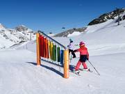 Big Family Fun Slope