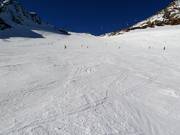Piste facile n° 38 Tiefenbachferner