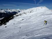 Descente Benni Raich