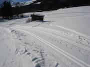 Piste de ski de fond vers Greitalm (Alpbach)
