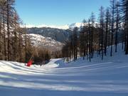 Descente typique vers la vallée à travers la forêt