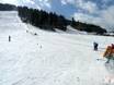 Domaines skiables pour les débutants dans le massif du Rofan – Débutants Tirolina (Haltjochlift) – Hinterthiersee