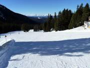 Large et large piste Toler à Obereggen