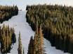 Domaines skiables pour skieurs confirmés et freeriders Chaînon frontal des Rocheuses – Skieurs confirmés, freeriders Loveland