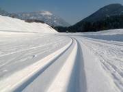 Des pistes de ski de fond parfaitement préparées