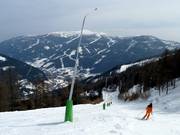 Les canons à neige sont presque toujours présents le long des pistes.