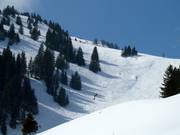 Espace pour le freeride