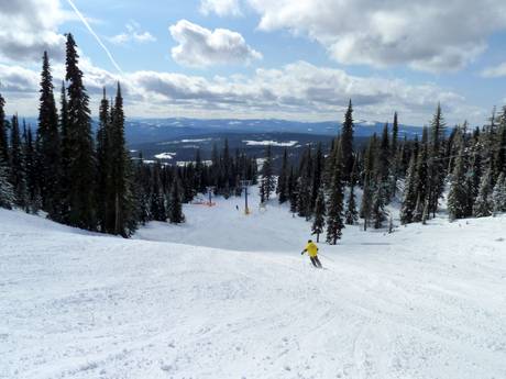 Diversité des pistes Indy Pass – Diversité des pistes Big White