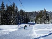 Kurvenlift - Téléski à pioches