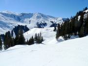 Vue sur les pistes du Steinbergkogel