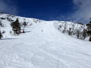 Piste difficile Toppbranten