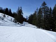 Piste de liaison facile du Hornberg vers Schönried