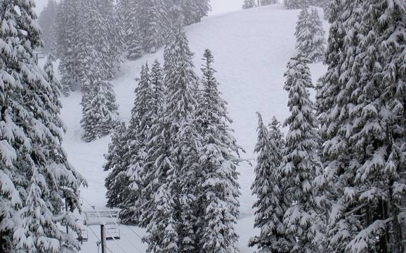 Meilleur domaine skiable au Mont Hood – Évaluation Mt. Hood Meadows