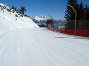 Descente familiale Streif n° 21