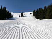 Pistes fraîchement préparées à Vitosha