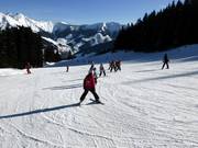 Cours de ski en haut du domaine skiable