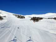 De nombreuses pistes ramènent au Myrkdalsekspressen.