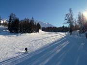 Des pistes larges et bien visibles
