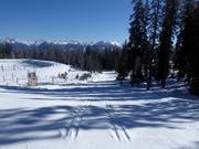 Piste de ski de fond d'altitude Roßbrand