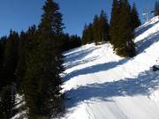 Descente vers la vallée