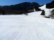 Piste au téléski d'entraînement Rasmusleiten