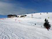 Pentes sans arbres au sommet du Belchen