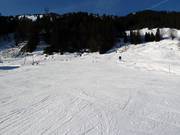 Piste d'entraînement au téléski Mooslift