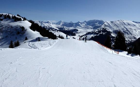 Meilleur domaine skiable dans la région touristique de la Gstaad – Évaluation Rinderberg/Saanerslochgrat/Horneggli – Zweisimmen/Saanenmöser/Schönried/St. Stephan