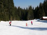 Piste facile 7 dans le domaine skiable
