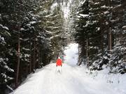 Descente vers la vallée - chemin de liaison à partir de la station inférieure du télésiège double Mauritz