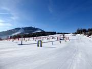 ArBär-Kinderland avec vue sur l'Arber
