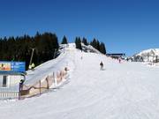 Téléskis d'entraînement sur la montagne au Hornspitz