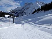 Le monde de la neige de Pauli Warth