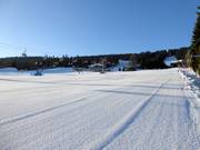 Large et facile piste à Zieleniec