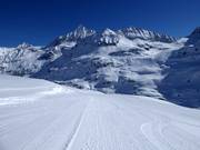 Descente Eisbodenlacke