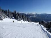 Piste intermédiaire Medvědín-Červená