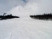 Large piste Olabakken