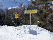 Signalisation des pistes