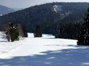 Descente Vorderdorf vers le téléski Rehbach
