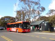 Un vaste réseau de bus transporte les visiteurs jusqu’aux pistes.