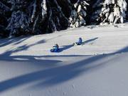 Bon plan pour les enfants : 