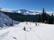 Espace débutant à la station intermédiaire