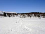 Offre infinie de pistes de ski de fond