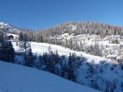 Vue sur la piste facile au téléski