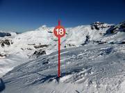 Signalisation des pistes