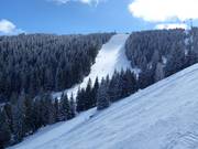 Piste difficile n° 19c Gvozdec